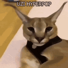 Big Floppa Uzi Hyperpop GIF - Big Floppa Uzi Hyperpop Hyperpop GIFs