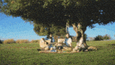 a woman playing a guitar under a tree with two other women