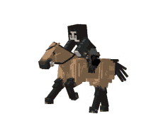 horse ride