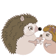 mom hedgehogs
