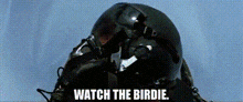 Top Gun Birdie GIF