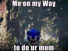Sonic Frontiers Ur Mom Meme GIF - Sonic Frontiers Ur Mom Meme ソニックフロンティア GIFs