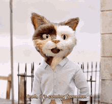 The House Cat GIF