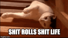 shit rolls