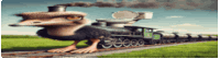 a cartoon ostrich is walking next to a train on the tracks