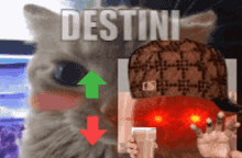a cat with a green arrow pointing up and a red arrow pointing down with the word destini in the background