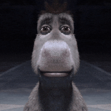 a close up of a donkey 's face with its mouth open