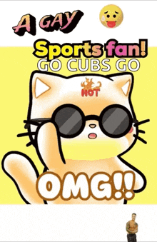 a cartoon of a cat wearing sunglasses says a gay sports fan go cubs go omg