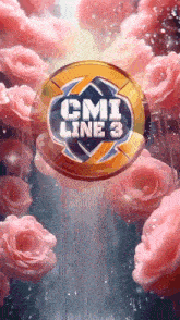 a coin with cmi line 3 written on it surrounded by pink roses