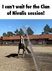 I Cant Wait For The Clan Of Nivalis Session GIF - I Cant Wait For The Clan Of Nivalis Session GIFs