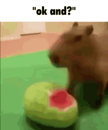 Ok And Capybara GIF