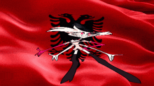 a cartoon character is standing in front of a flag