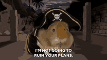 Pirateship Guinea Pig Pirate GIF
