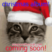 Seamoretheseal Christmas Album GIF - Seamoretheseal Christmas Album Santa Cat GIFs