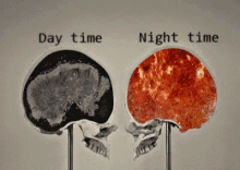 Brain Activity Day Time GIF - Brain Activity Day Time Night Time GIFs