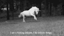 Im A Fucking Unicorn I Do Unicorn Things GIF - Im A Fucking Unicorn I Do Unicorn Things GIFs
