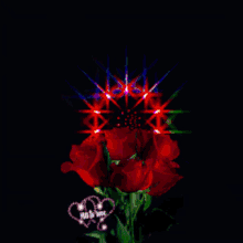 Rose Flower GIF - Rose Flower Red Rose GIFs