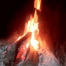 Fuego Flame GIF - Fuego Flame Wood GIFs