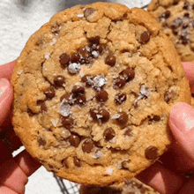 Chocolate Chip Cookie Cookies GIF - Chocolate Chip Cookie Cookie Cookies GIFs