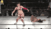 a female wrestler in a ring with the words fpw mg on the bottom