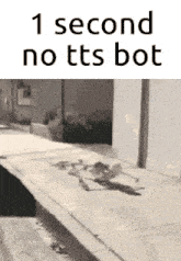 Tts Bot 1 Second No GIF - Tts Bot 1 Second No Skeleton GIFs