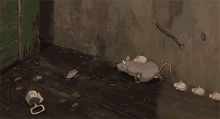 Cleaning Rats GIF
