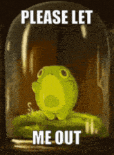 a frog in a glass dome with the words please let me out above it