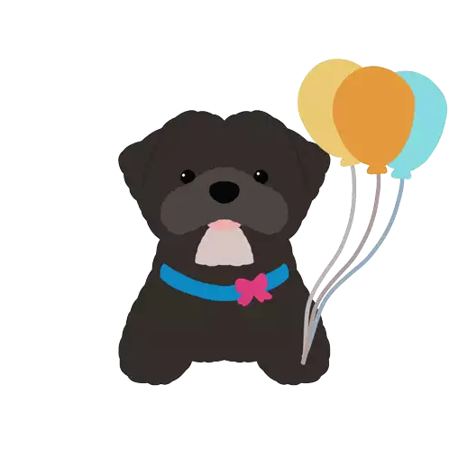Barkday Birthday Sticker - Barkday Birthday Birthday Wishes Stickers