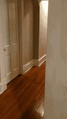 a hallway with hard wood floors and white trim