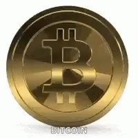 Bitcoin Buy GIF - Bitcoin Buy Golden Coin GIFs