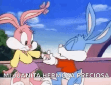 Juanita Hermosa Preciosa Bunny GIF