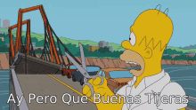 Simpsons Homero Simpson GIF