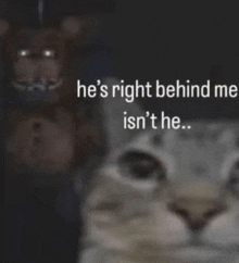 a blurred image of a cat with the words " he 's right behind me isn 't he "
