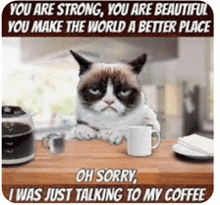 Coffee Time Beautiful GIF - Coffee Time Beautiful Cats GIFs
