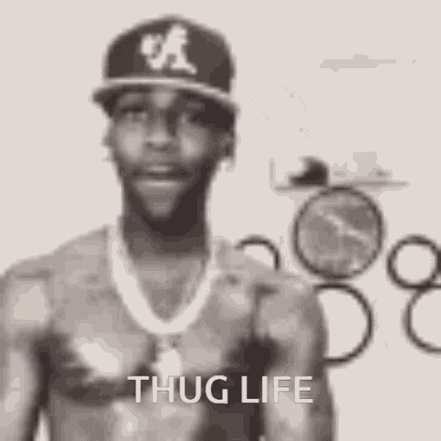 Thug Thug Shaker GIF - Thug Thug Shaker GIFs