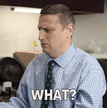 What Tim Robinson GIF - What Tim Robinson I Think You Should Leave With Tim Robinson GIFs