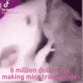 a picture of two mice with the words 8 million dollars for making mice transgender