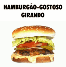 Hamburger Hamburgão GIF - Hamburger Hamburgão Hamburgao GIFs
