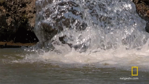 water-solving-the-water-problem.gif