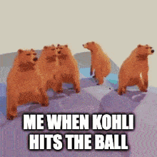Virat Kohli GIF - Virat Kohli GIFs