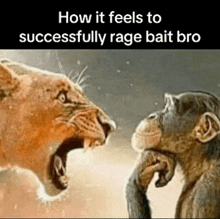 a lion and a chimpanzee are standing next to each other and talking .