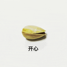 a pistachio with chinese writing on the bottom