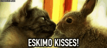 Eskimo Kisses GIF