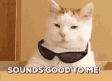 Sounds Good To Me Cats GIF - Sounds Good To Me Cats Cool GIFs