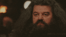 Flip Off Hagrid GIF