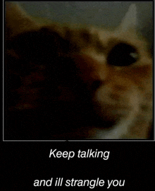 a picture of a cat with the words keep talking and ill strangle you on it