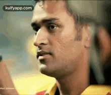 Lets Meet Super Kings In 2021 Dhoni GIF