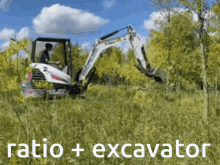 graham excavator ratio