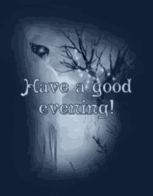 Have A Good Evening GIFs | Tenor