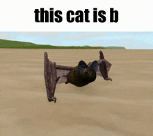 Cs Cenozoic Survival GIF - Cs Cenozoic Survival This Cat Is GIFs